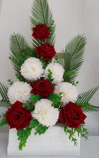گل ودرختچه  قائم     با قیمت مناسب در خدمت شماست