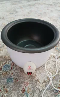 پلوپز و بخار پز