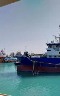 نصاب کفپوش  موکت  چمن