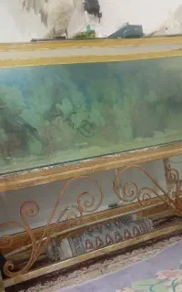 آکواریوم