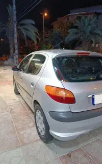 ۲۰۶ تیپ ۲ مناسب مصرف کننده