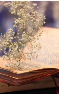 کتب.دعا.علوم غریبه