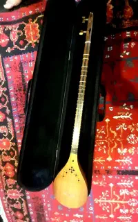 سه تار حرفه ی