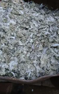 سلام ۱۲ گونی کود کبوتر فروشی