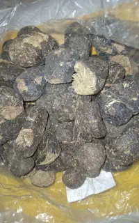 عنبر نصارا (پشگل ماچولاغ)