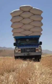 حمل بار با نیسان