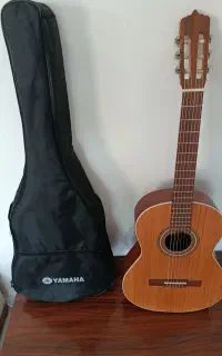 گیتار مارکه روباه