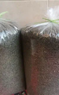 سبزی قورمه سرخ خشک  نیشابور