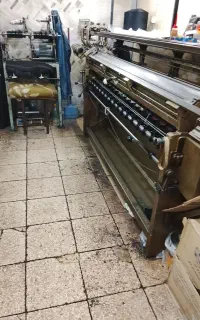 تلویرا ستاره