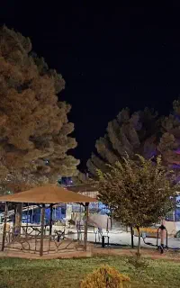 فست‌فود کار ماهر