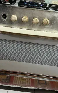 فرگاز سینجر