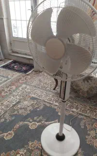 پنکه سقفی و ایستاده