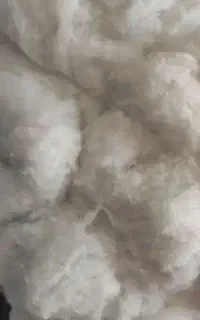 لایکو...وپرز