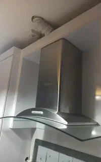 هود