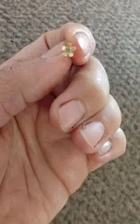 گمشده