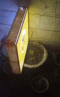 تابلومهتابی