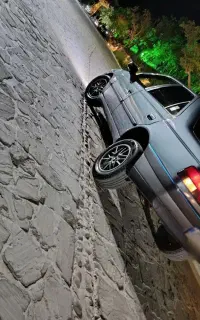 ۴۰۵ دلفینی