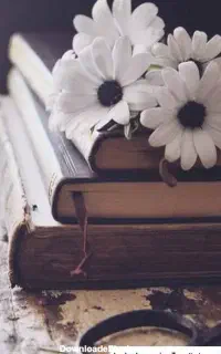 دعا سرکتاب