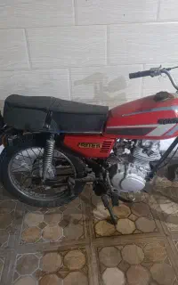 پارگنکی