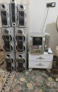 ضبط خانگی