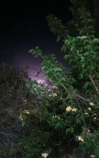 رهن خانه ویلایی