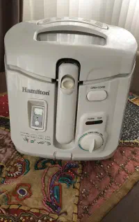سرخ کن با روغن