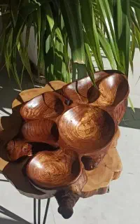 مزه خوری و اردو خوری