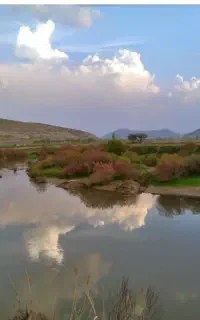 خط تلفن ثابت