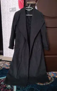 پالتو