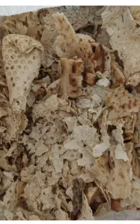 نان خشک