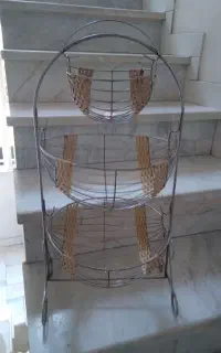 جاسیب زمینی