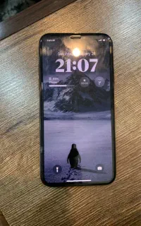 X 256