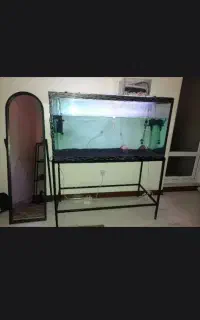 آکواریم