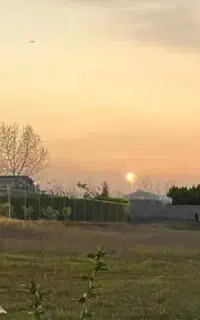 جذب کارگر مرغداری