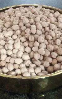 نخود