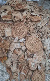نان خشک درب منزل میگیریم ۳۵۰۰۰ /عمده بالاتر