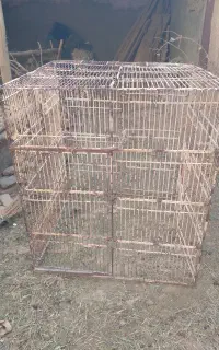 قفس‌‌کبوتر