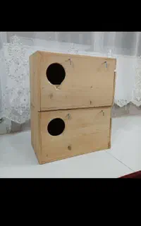 لانه پرنده عروس هلندی و طوطی راهب