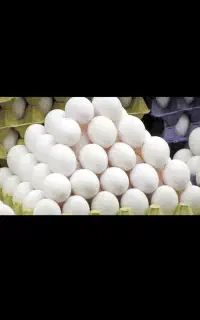 پخش عمده وخرده تخم مرغ وبرنج