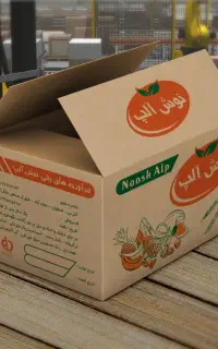 کارگر ساده خانم