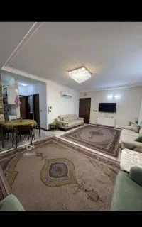 فرش ۹ متری ابریشم ماشینی طرح ریزماهی