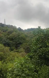 کارگر کشاورزی وابیاری