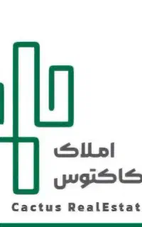 استخدام مشاور املاک، کار اصولی با درآمد خوب