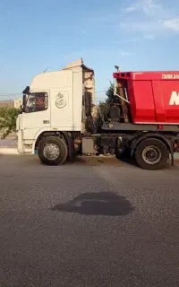 دایون خط زرد