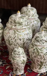 ست جینجرجار