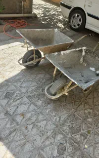 فرغون