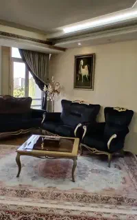نظافت منزل آپارتمان آرایشگاه زنانه و... ویلا