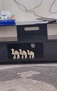 مبل