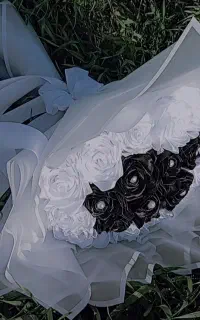گل روبانی سفید مشکی