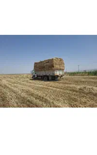 پرس کلش گندم